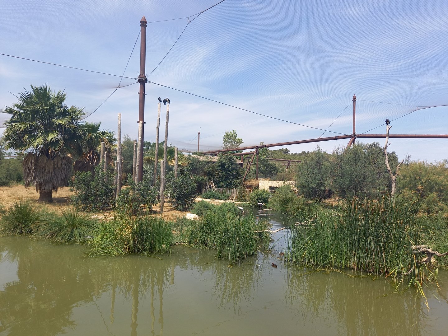 Réserve africaine de Sigean - African giant walkthrough aviary
