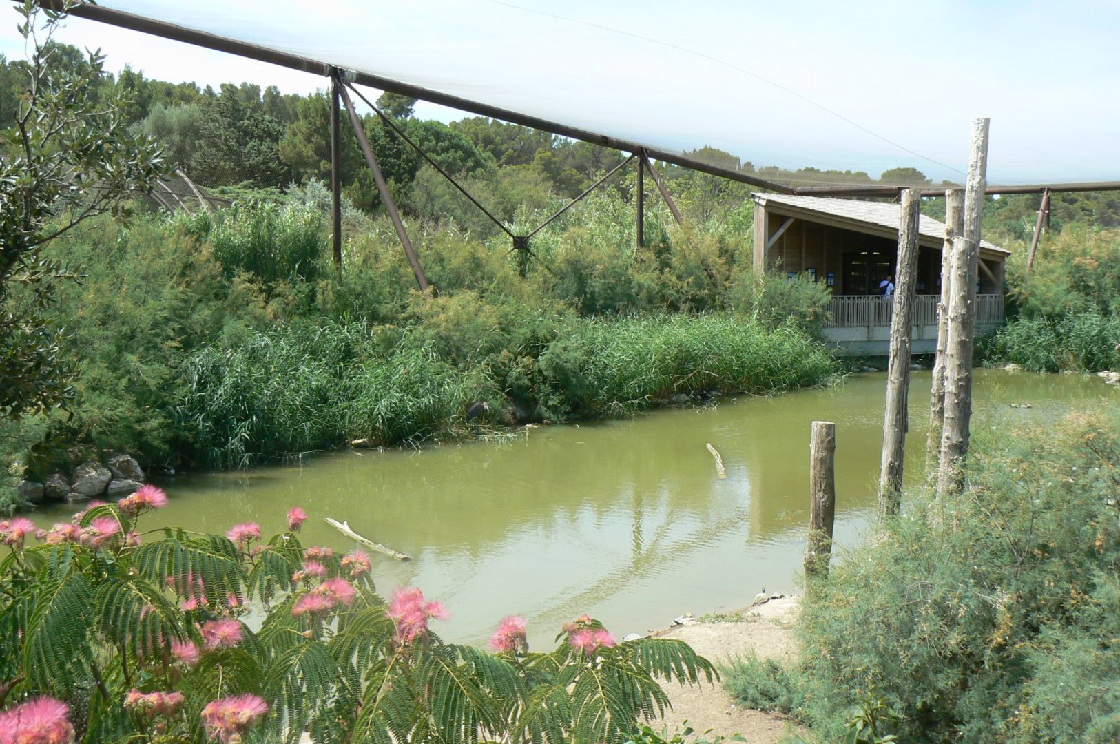 Réserve africaine de Sigean - African giant walkthrough aviary