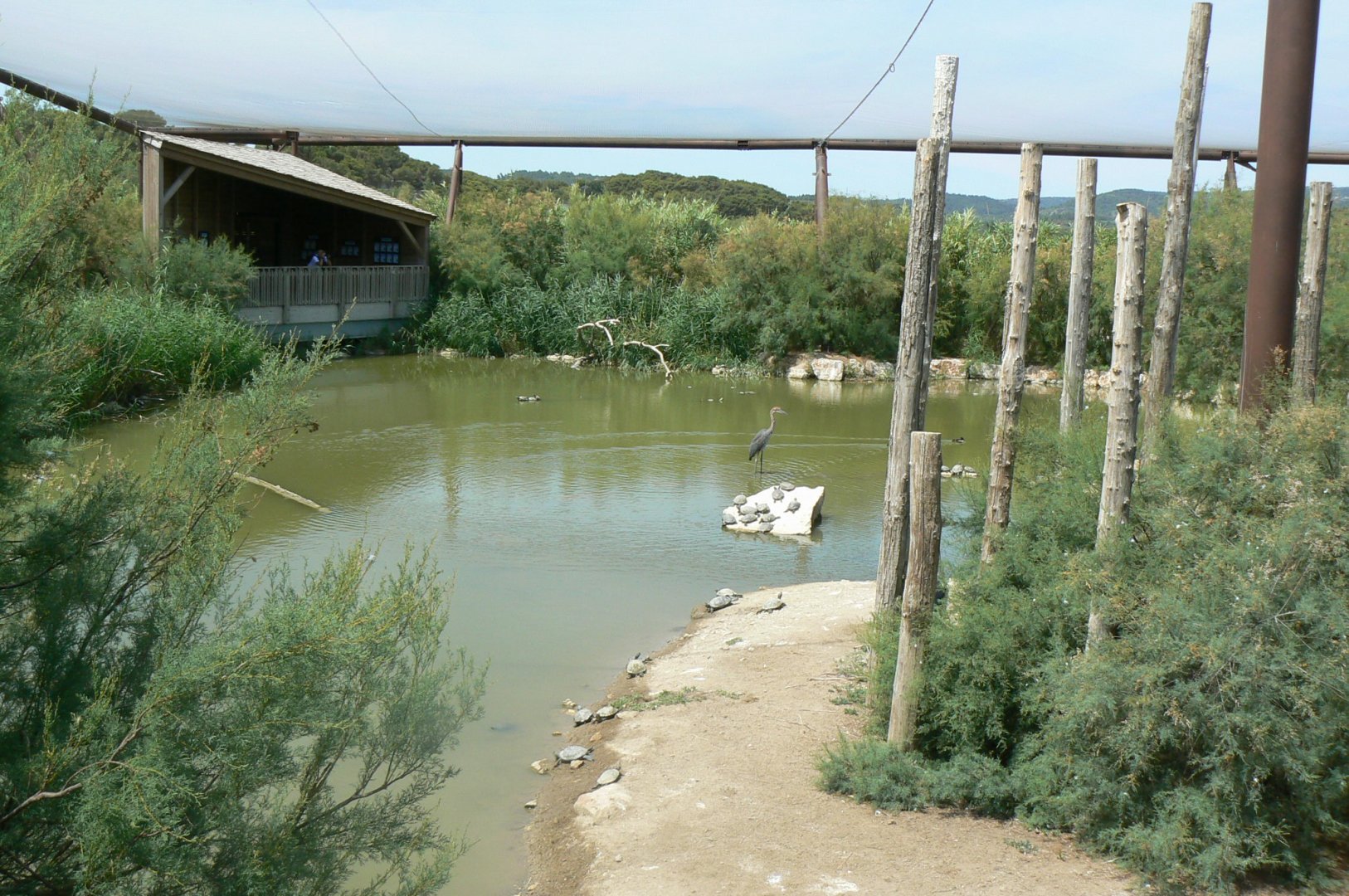 Réserve africaine de Sigean - African giant walkthrough aviary