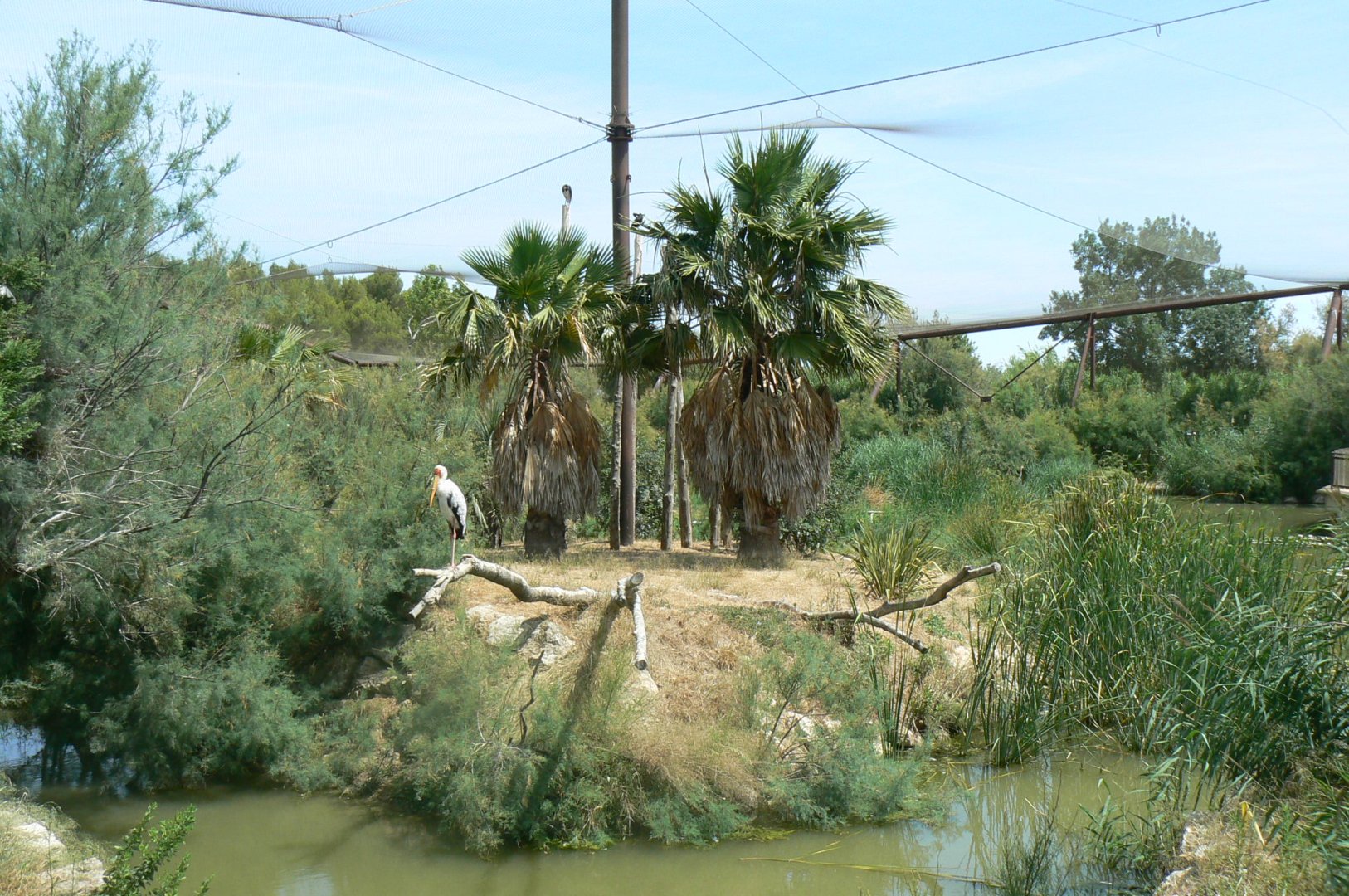 Réserve africaine de Sigean - African giant walkthrough aviary