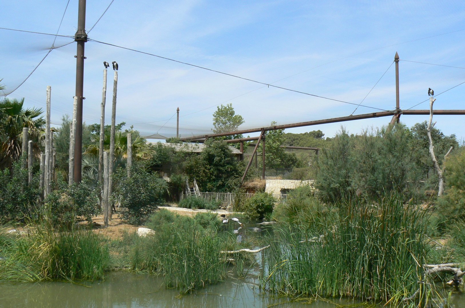 Réserve africaine de Sigean - African giant walkthrough aviary