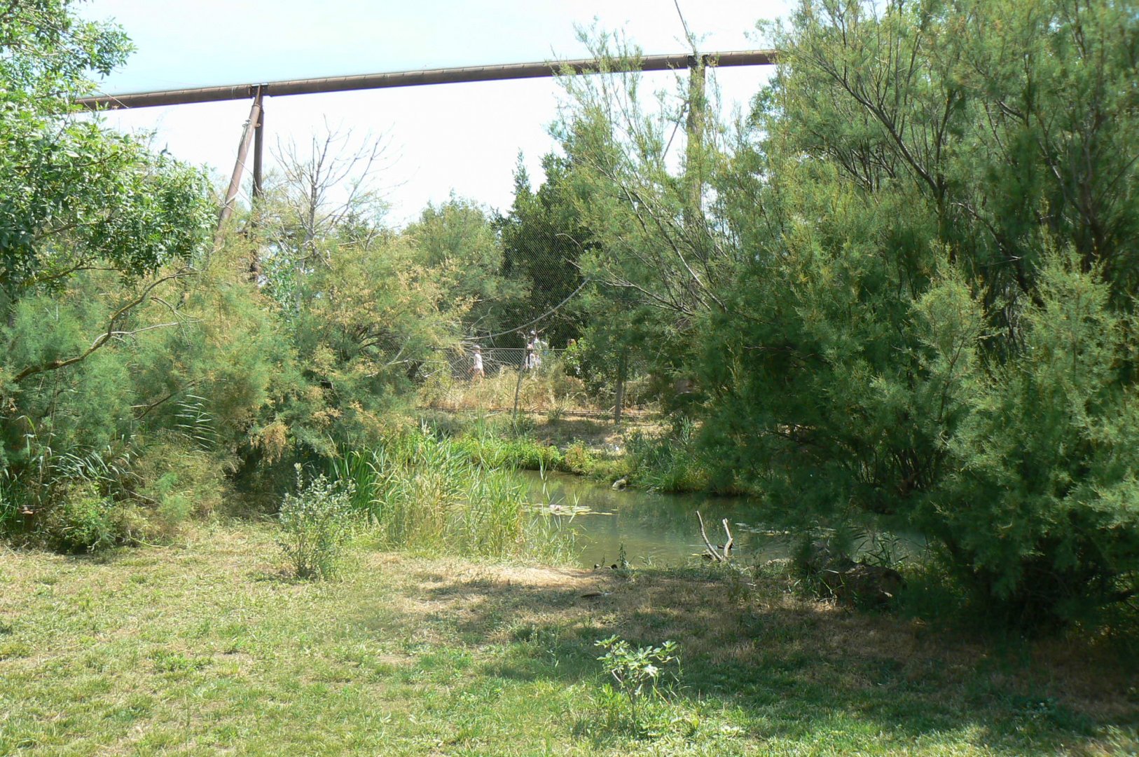 Réserve africaine de Sigean - African giant walkthrough aviary