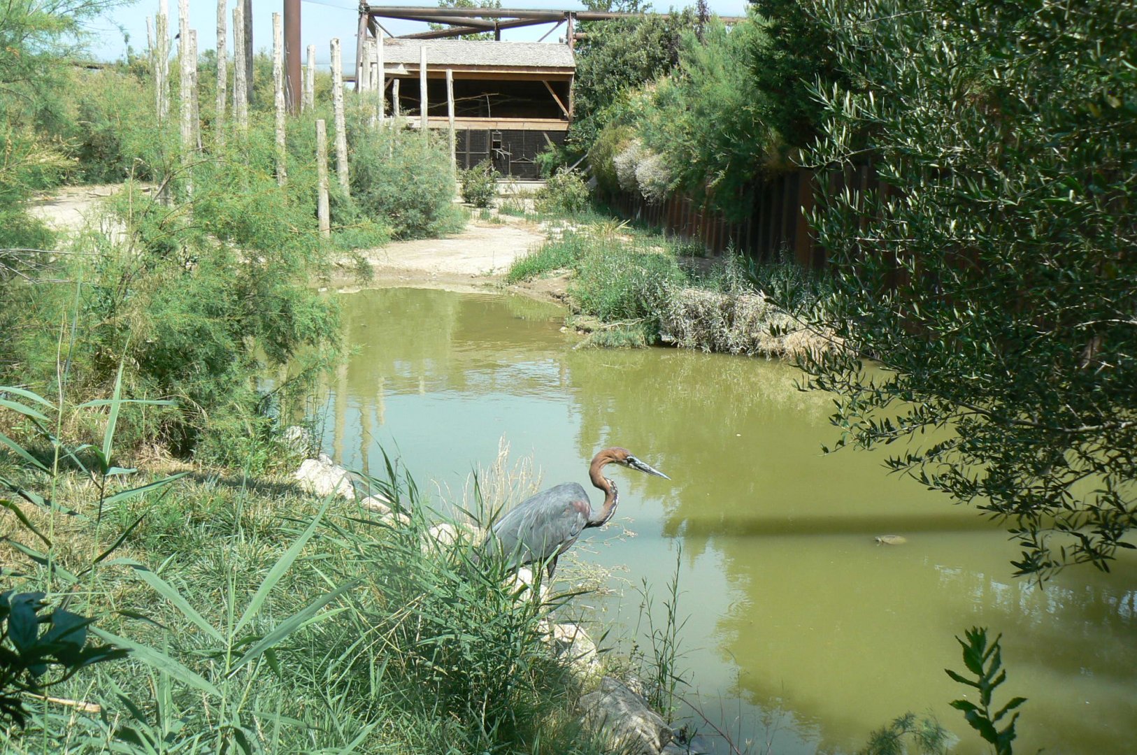 Réserve africaine de Sigean - African giant walkthrough aviary