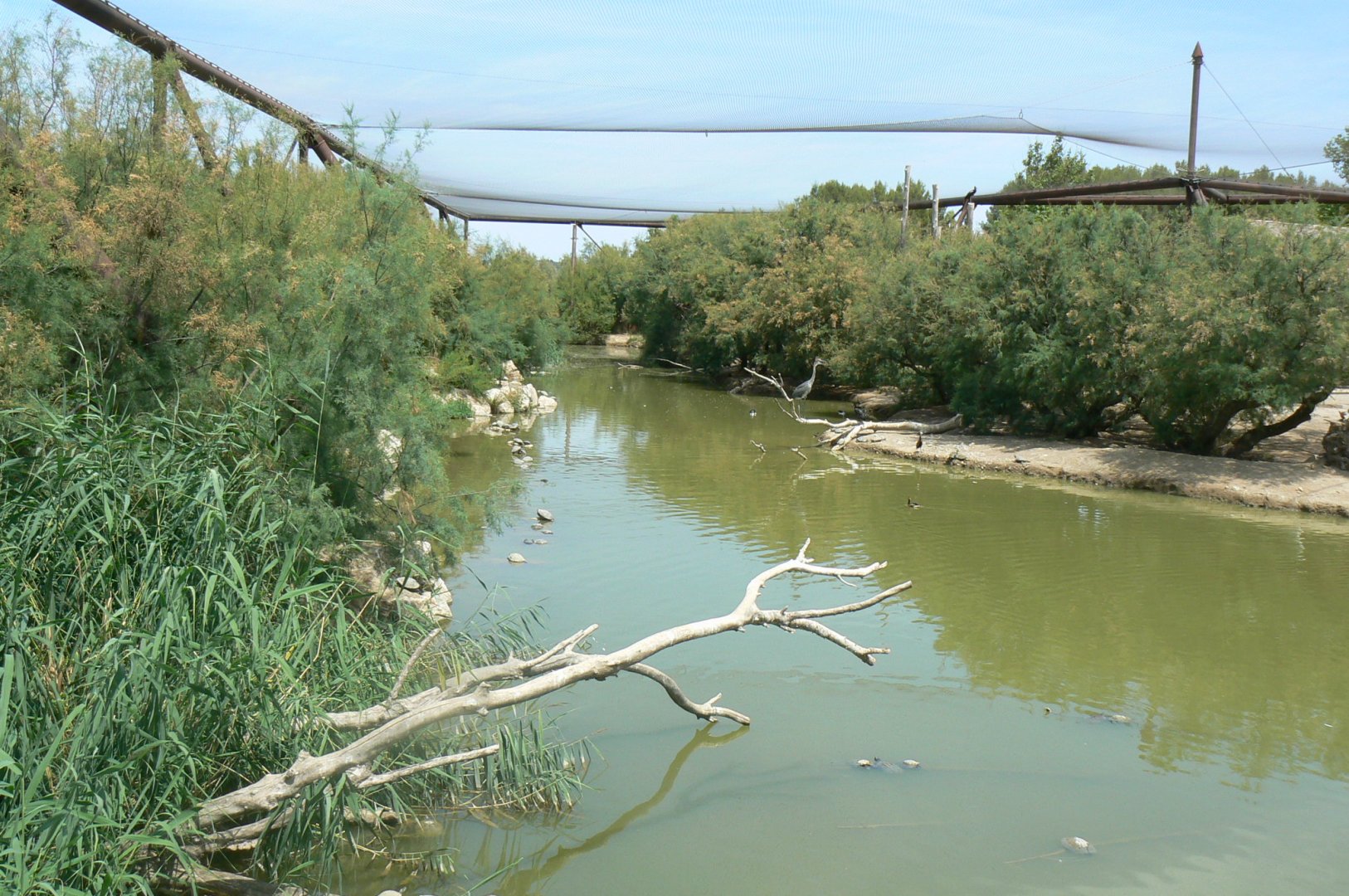 Réserve africaine de Sigean - African giant walkthrough aviary