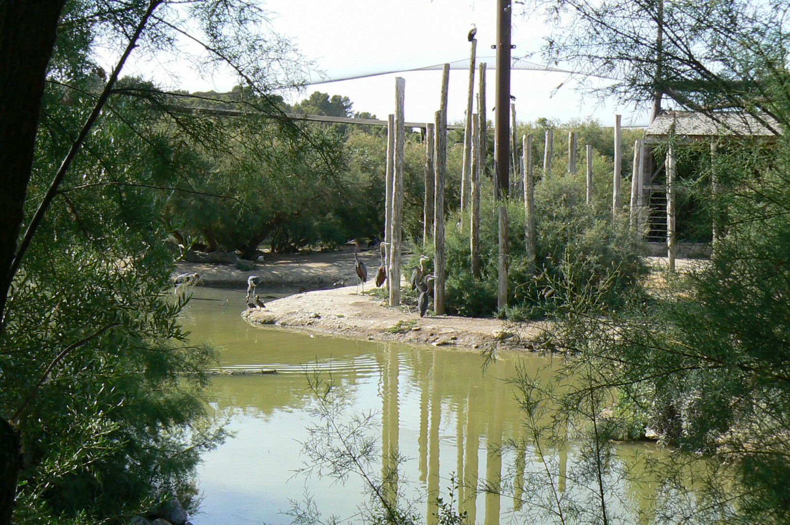 Réserve africaine de Sigean- African giant walkthrough aviary