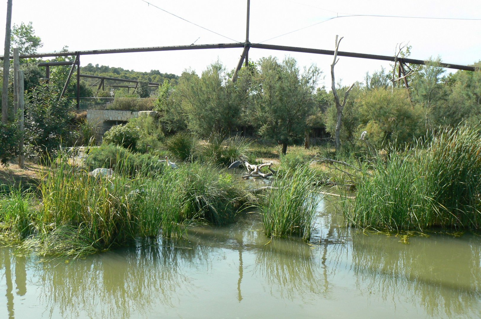 Réserve africaine de Sigean- African giant walkthrough aviary