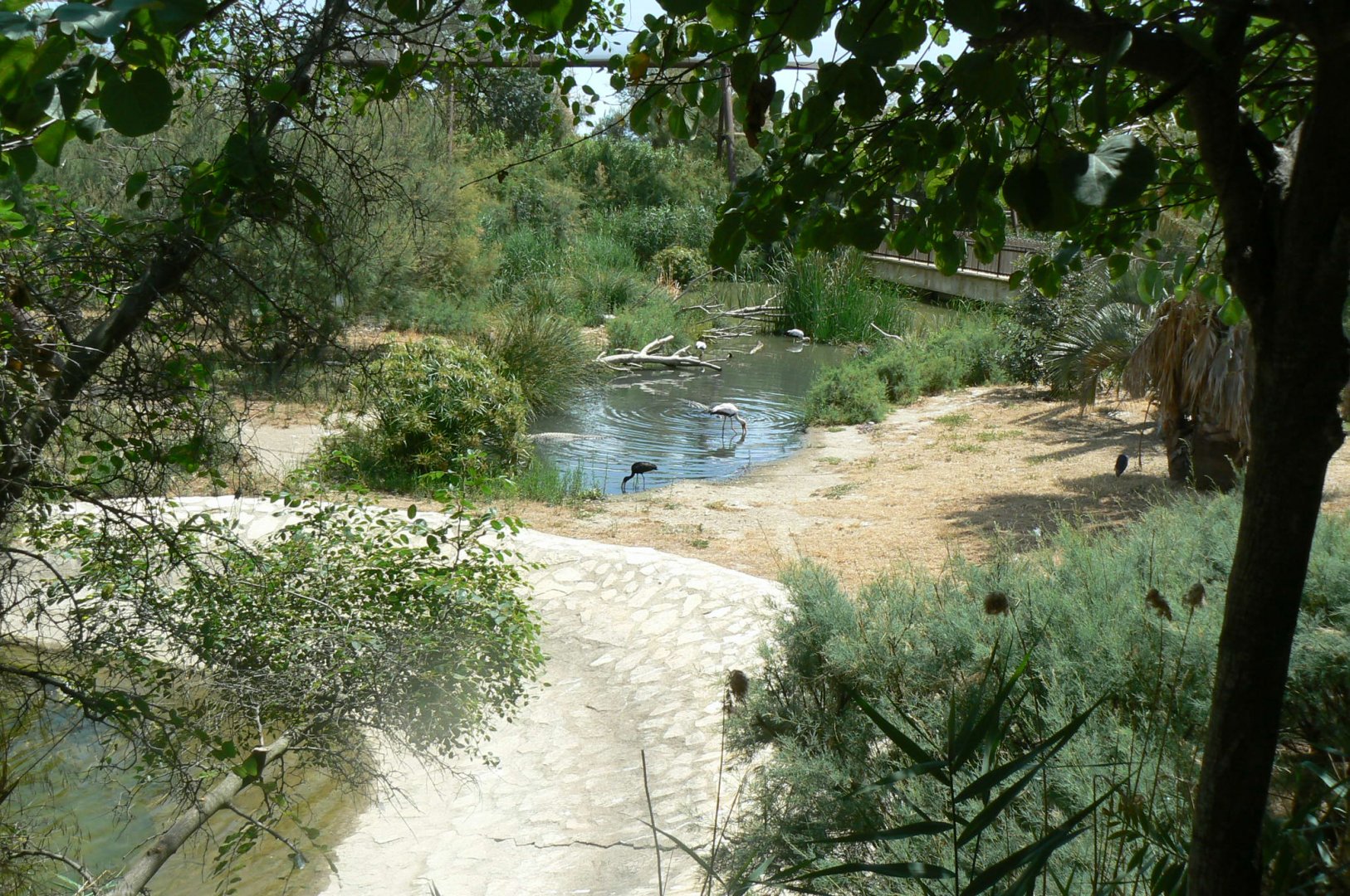 Réserve africaine de Sigean - African giant walkthrough aviary