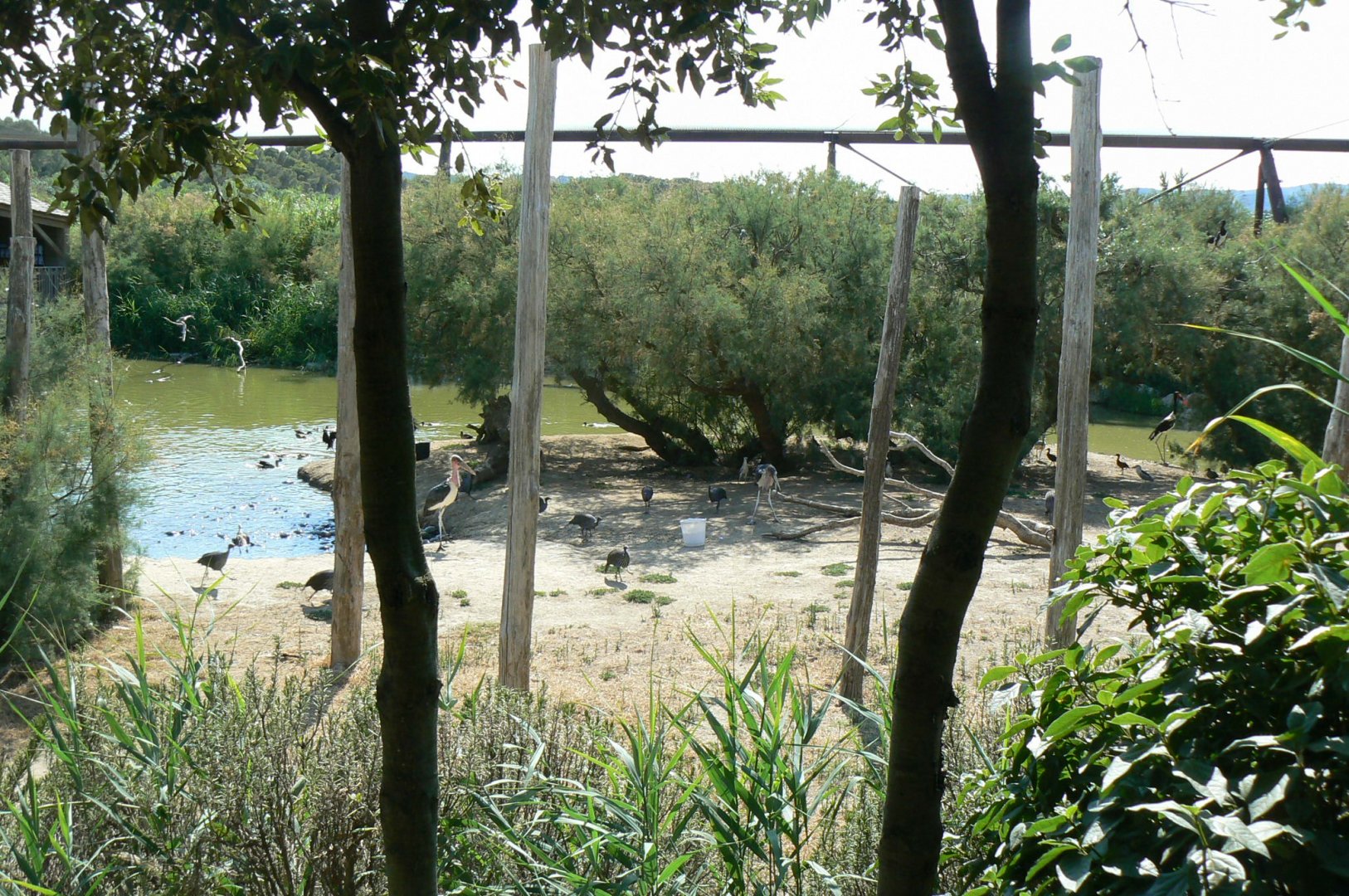 Réserve africaine de Sigean - African giant walkthrough aviary