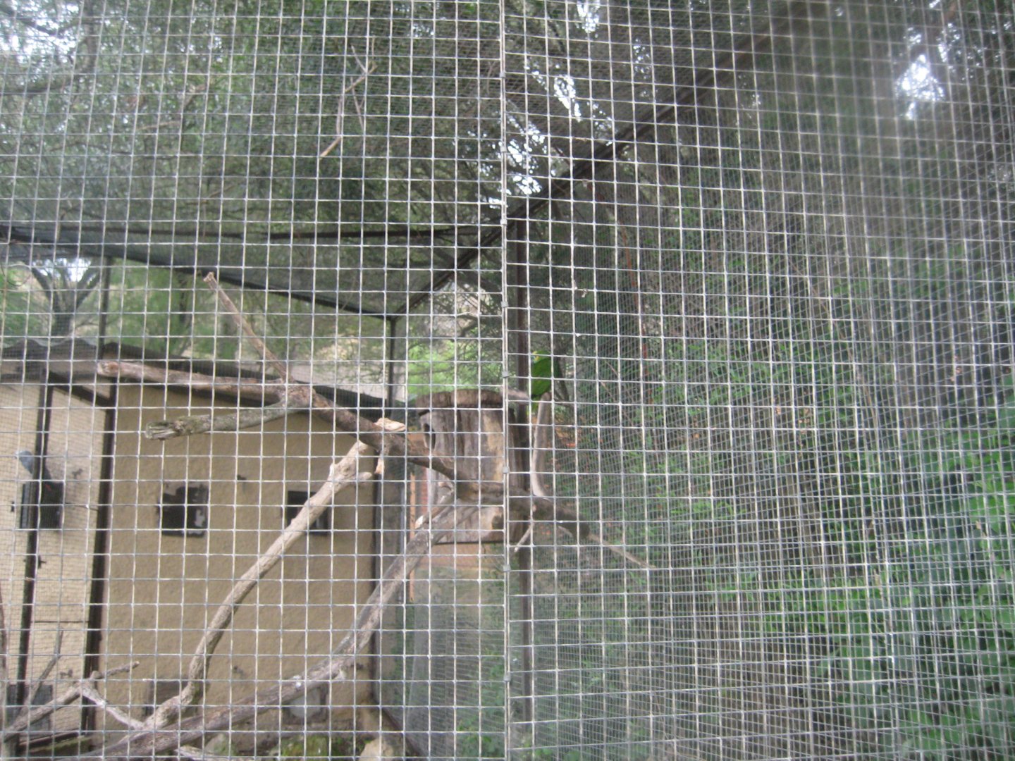 Reserve Africaine de Sigean - Amazon exhibit