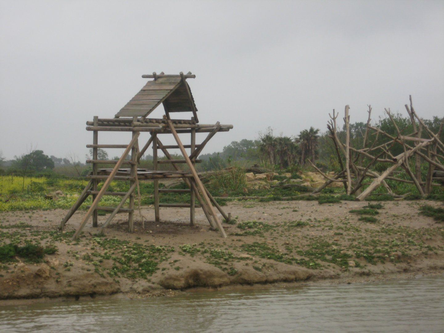 Reserve Africaine de Sigean - Barbary macaque island