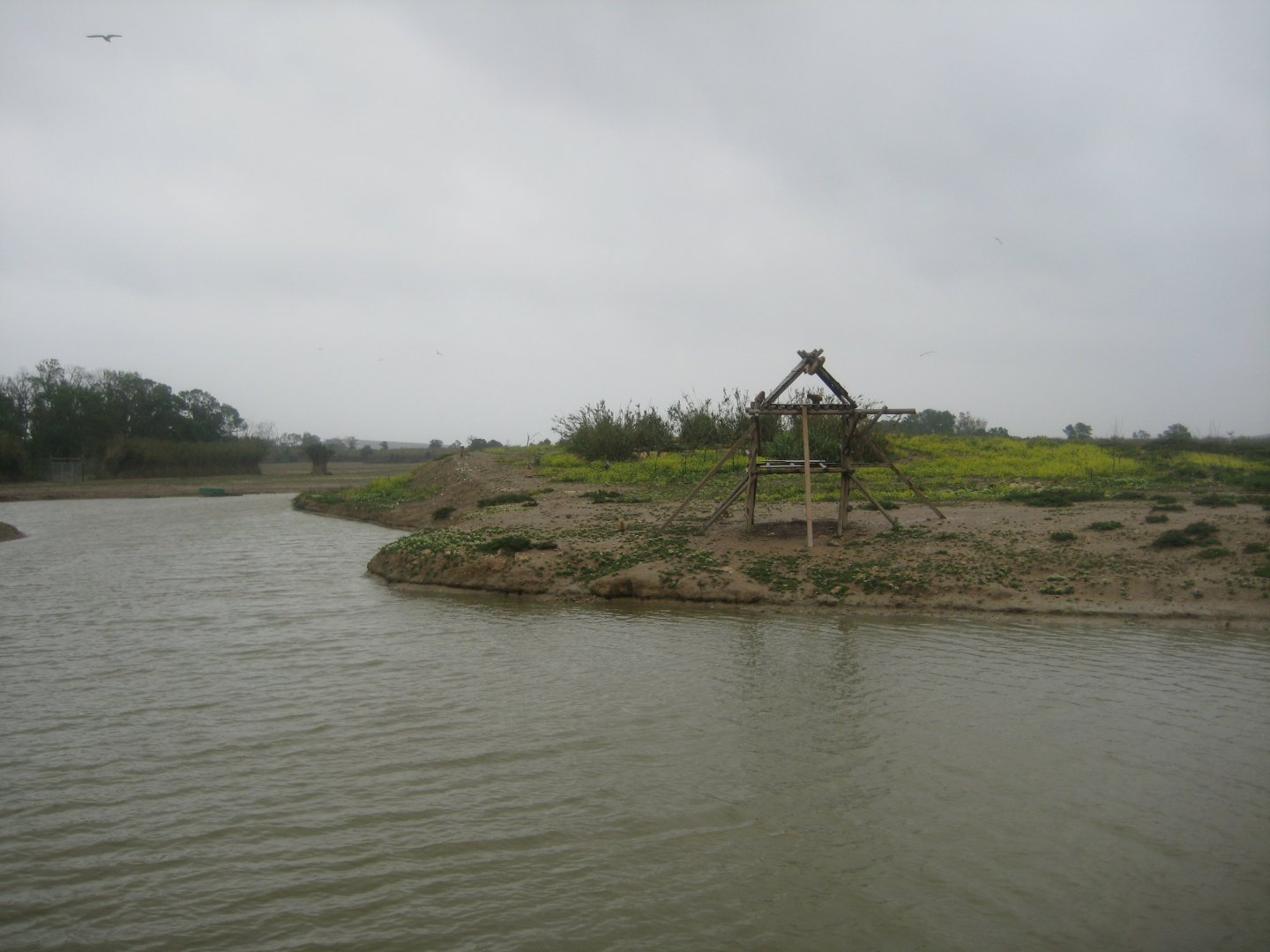Reserve Africaine de Sigean - Barbary macaque island