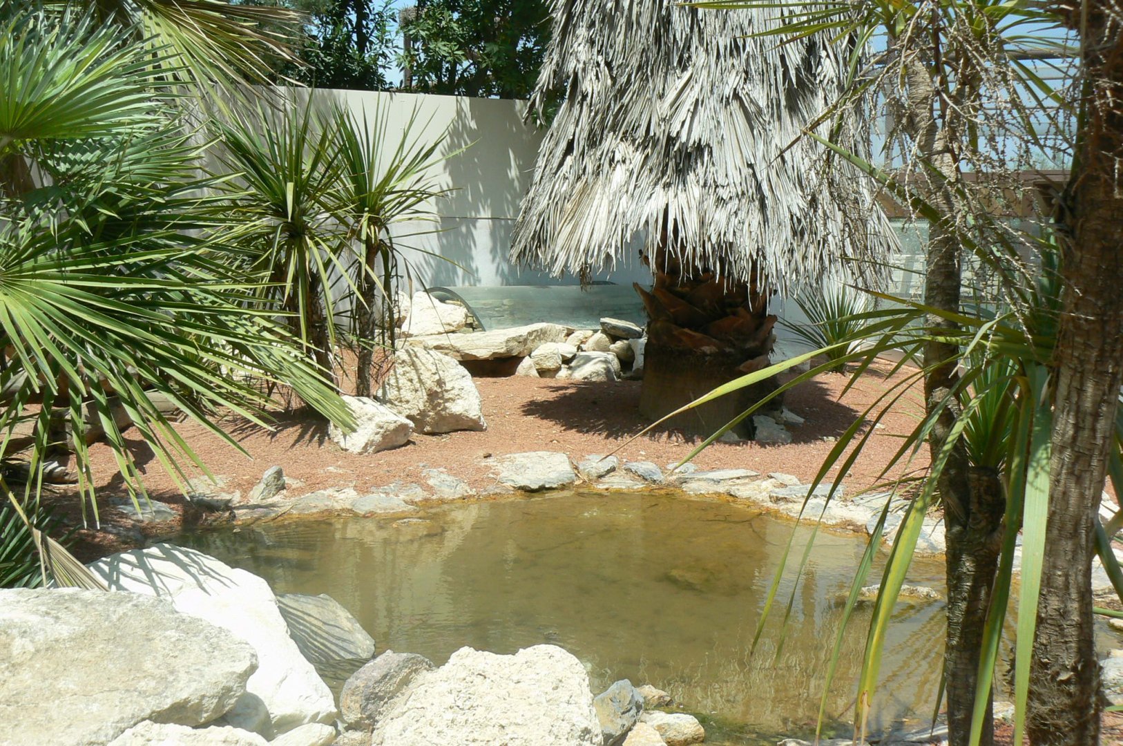 Réserve Africaine de Sigean - Black-throated monitor and african spurred tortoises exhibit