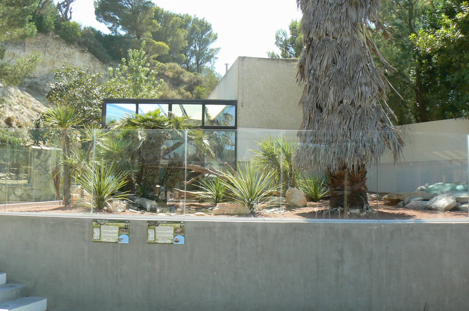 Réserve Africaine de Sigean - Black-throated monitor and african spurred tortoises exhibit