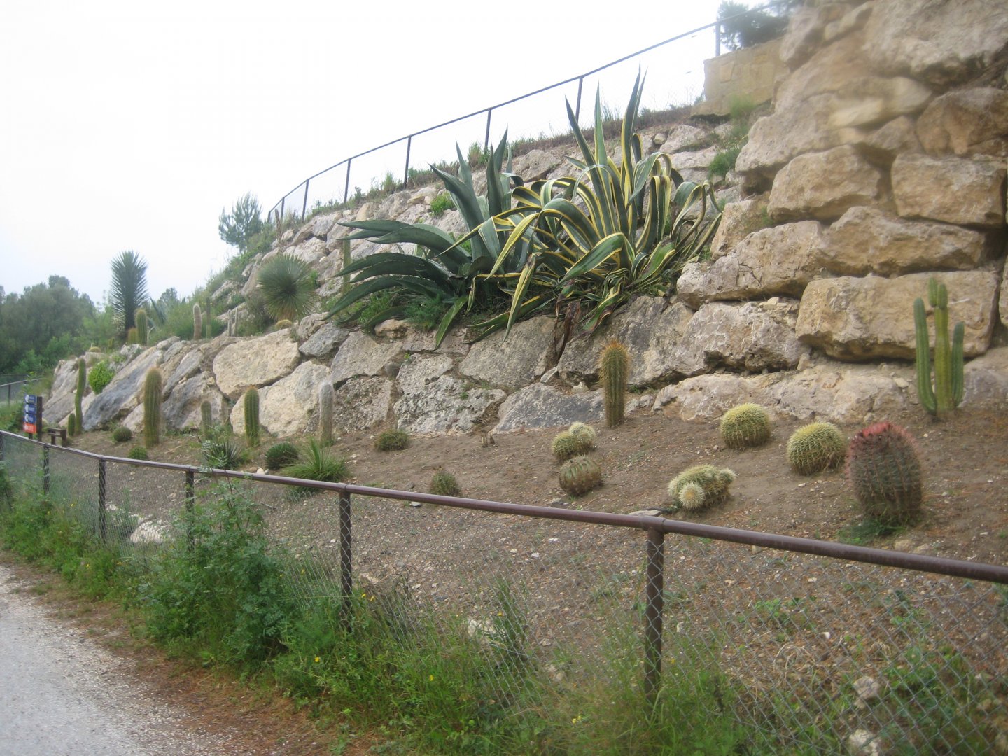 Reserve Africaine de Sigean - Cactus garden