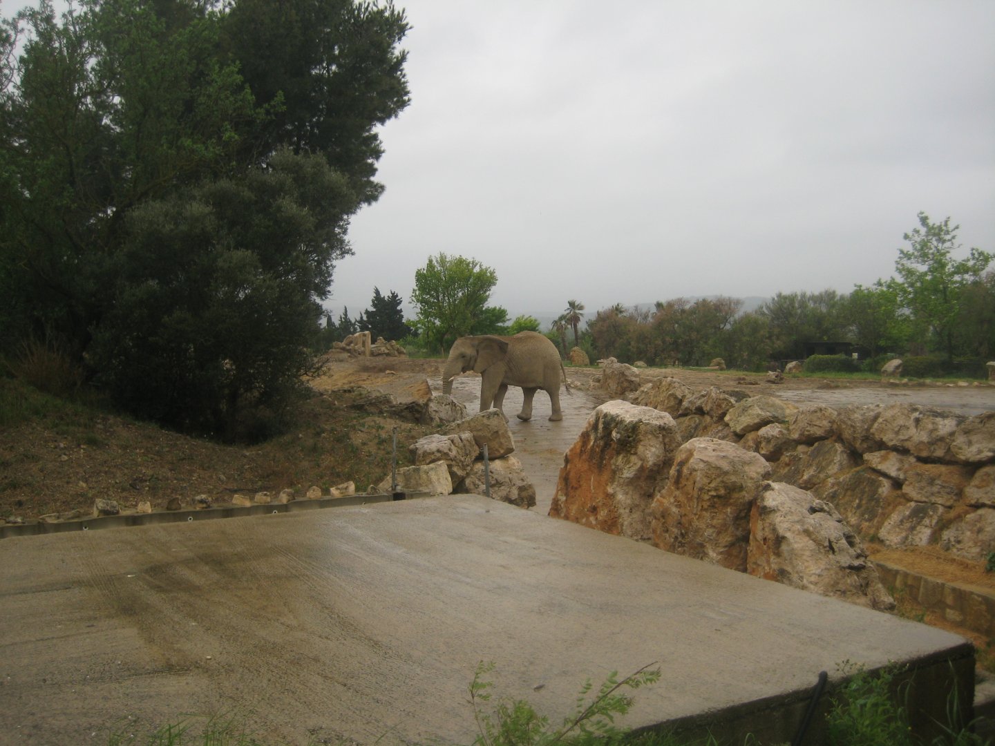Reserve Africaine de Sigean - Elephant exhibit