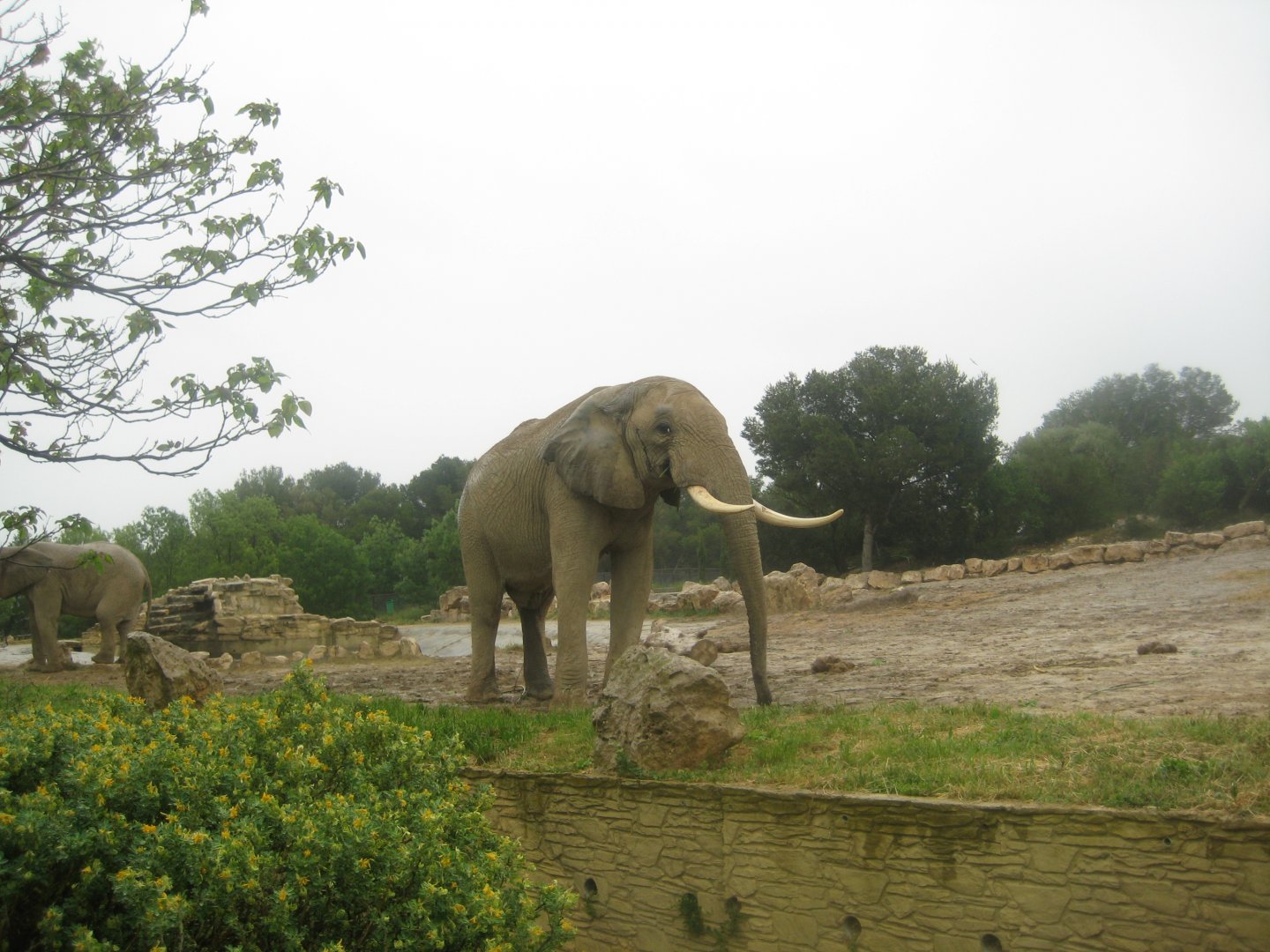 Reserve Africaine de Sigean - Elephant exhibit
