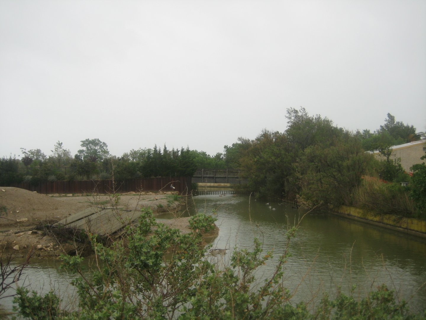 Reserve Africaine de Sigean - Emu lake