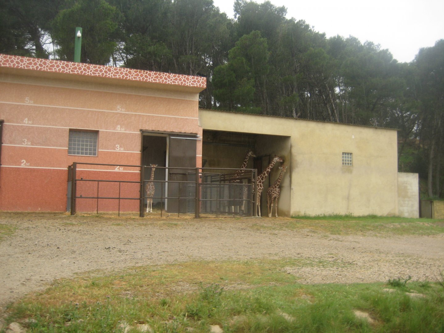 Reserve Africaine de Sigean - Giraffe exhibit