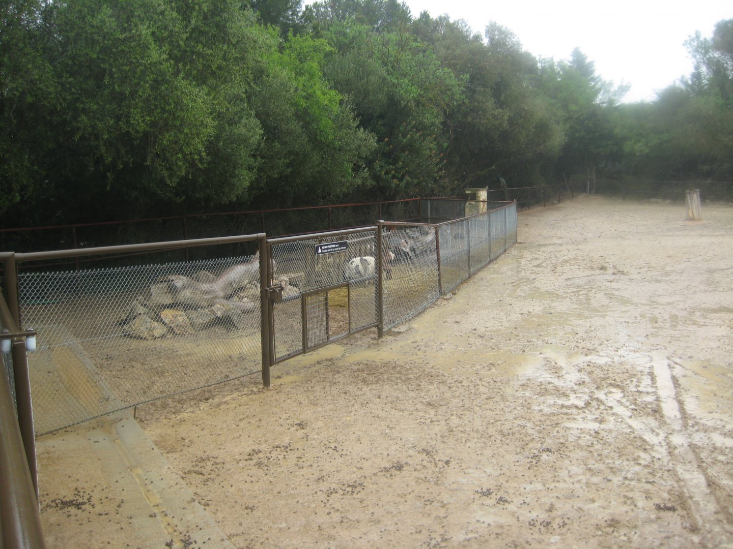 Reserve Africaine de Sigean - Goat exhibit