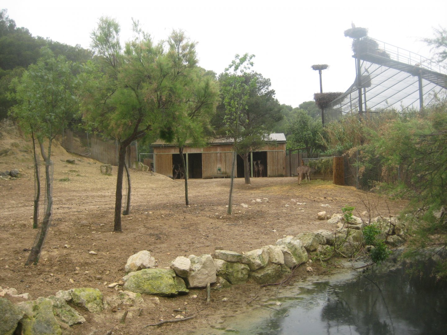 Reserve Africaine de Sigean - Greater kudu exhibit