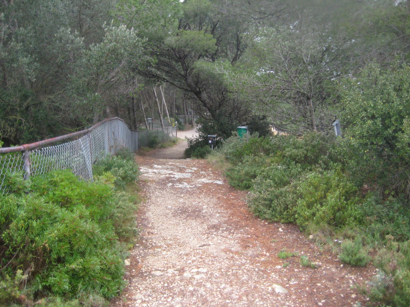 Reserve Africaine de Sigean - Mediterranean garden