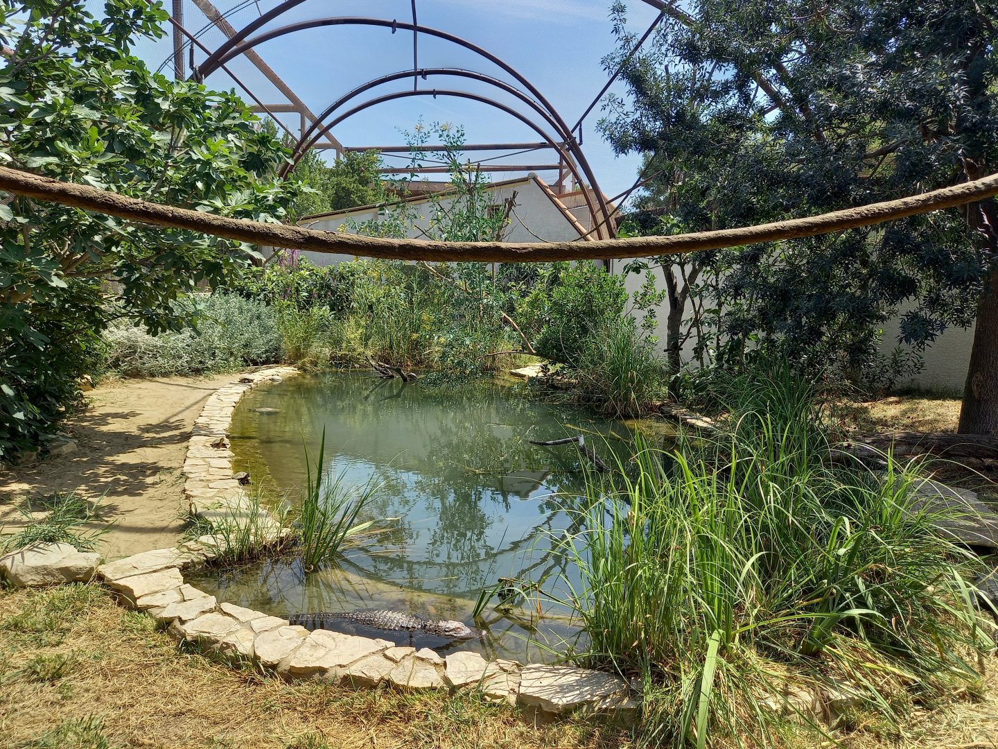 Réserve Africaine de Sigean - Mixed aviary for american alligators and squirrel monkeys