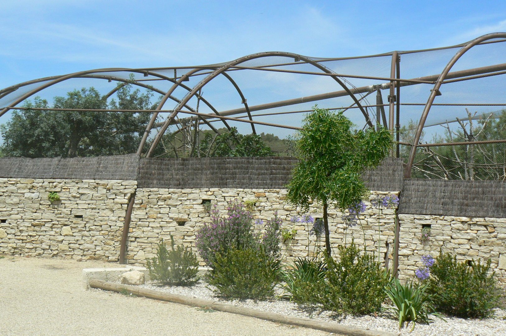 Réserve Africaine de Sigean - Mixed aviary for american alligators and squirrel monkeys