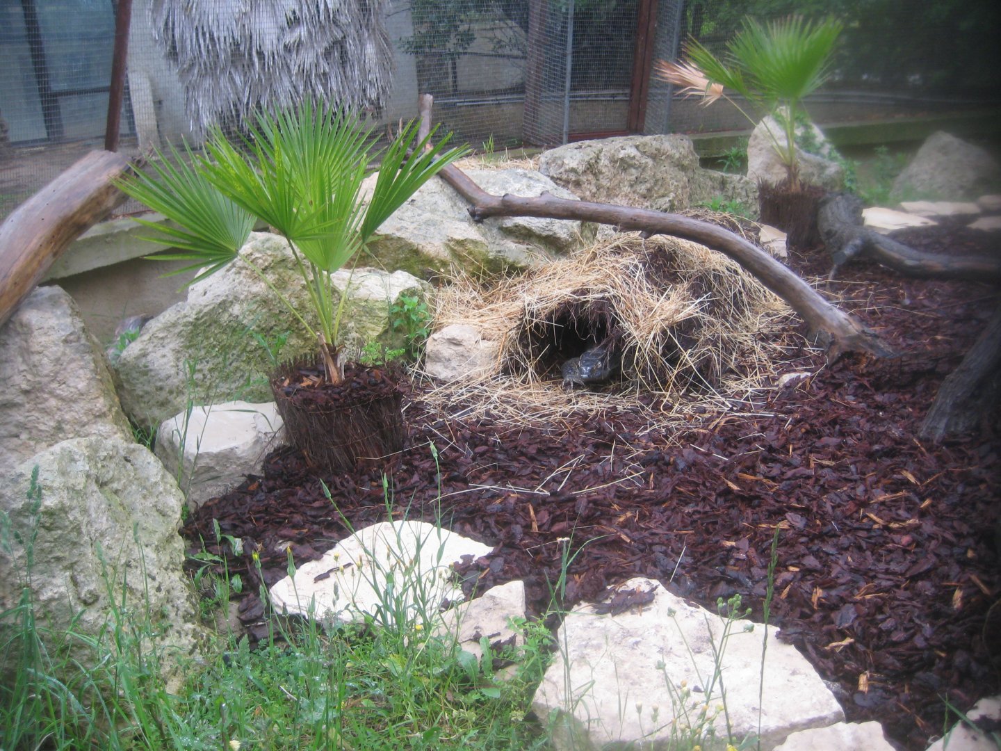 Reserve Africaine de Sigean - Monitor exhibit