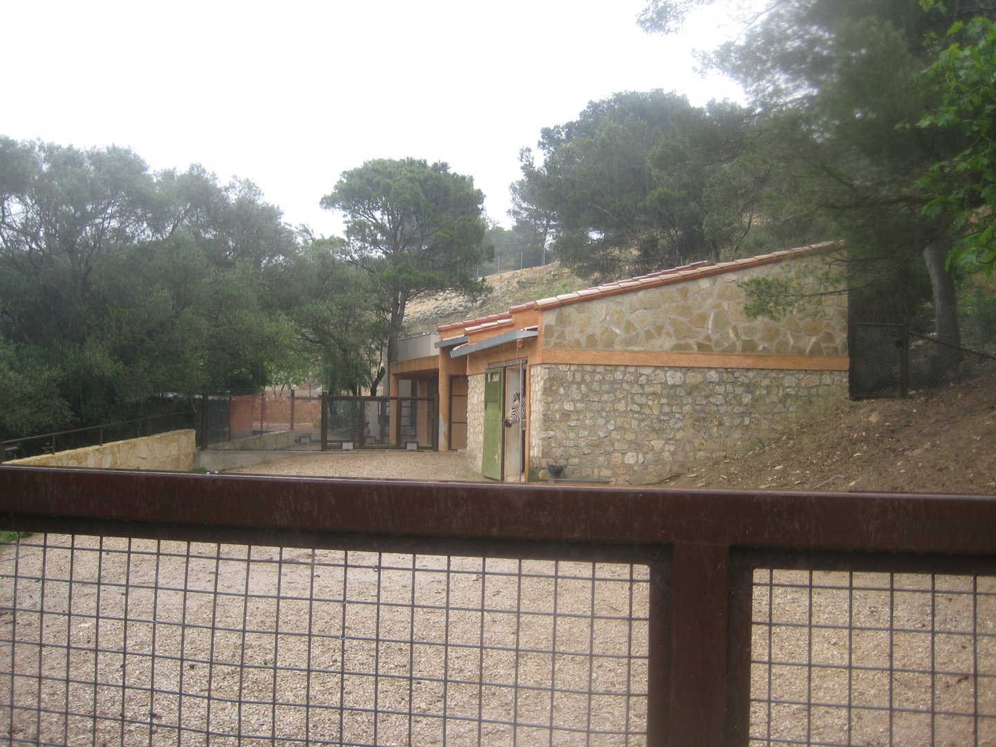 Reserve Africaine de Sigean - Mountain zebra exhibit