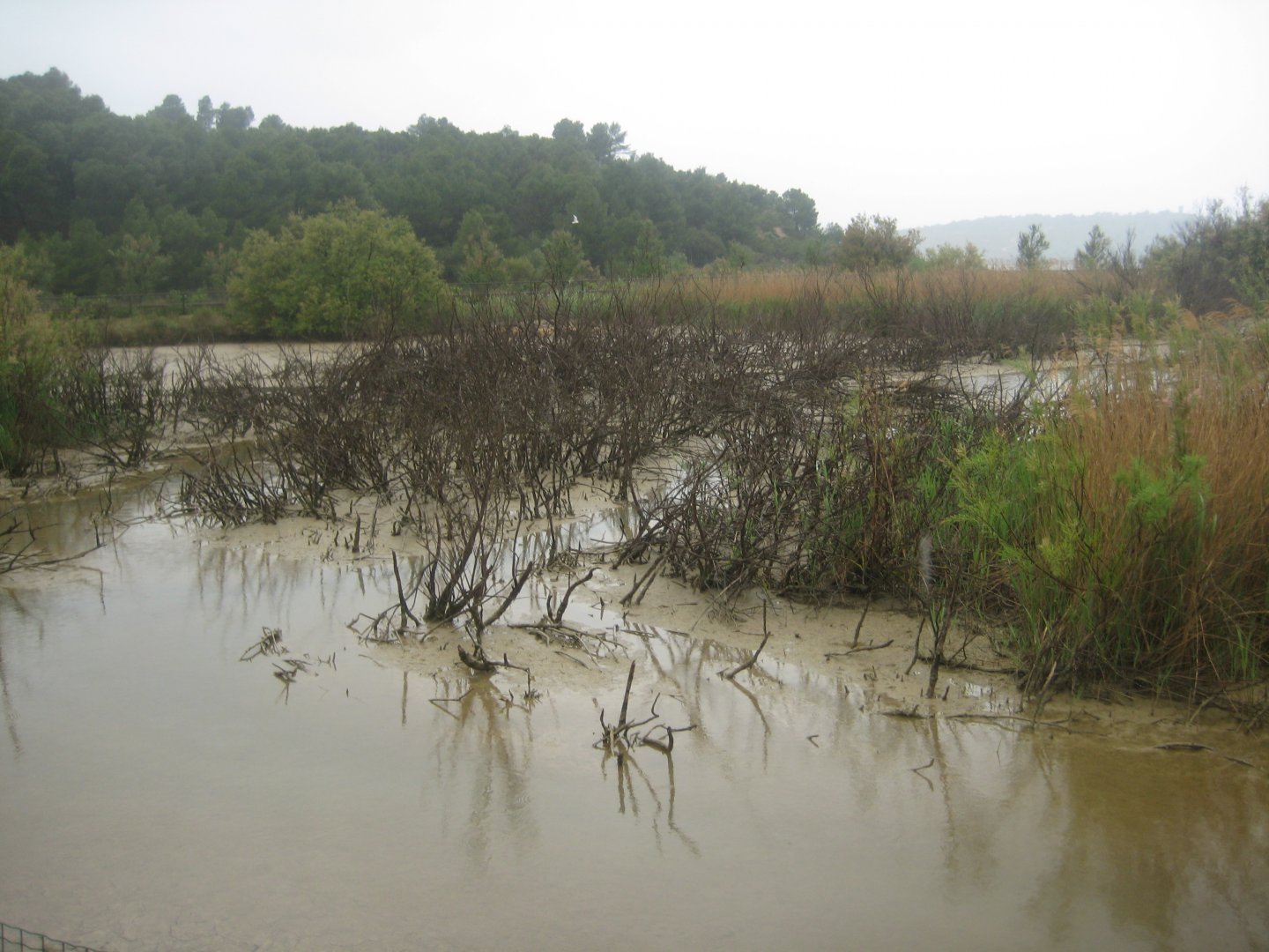 Reserve Africaine de Sigean - Nature reserve