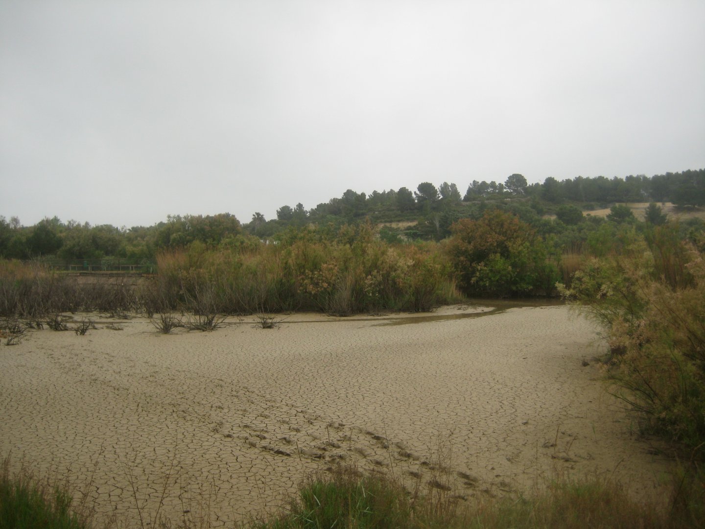 Reserve Africaine de Sigean - Nature reserve