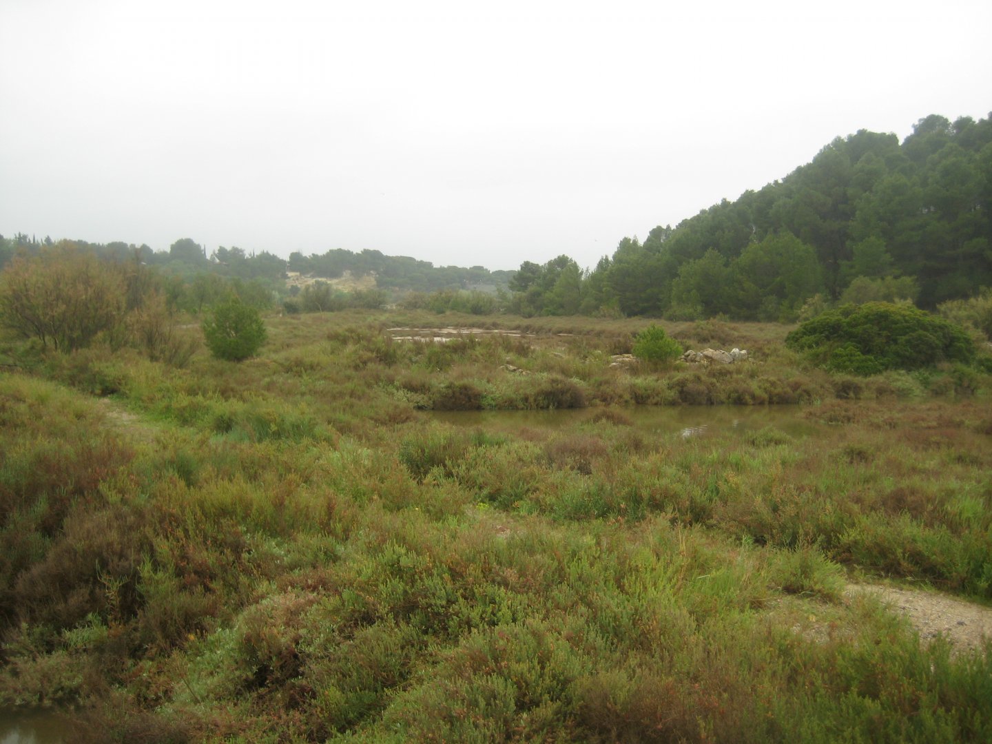 Reserve Africaine de Sigean - Nature reserve