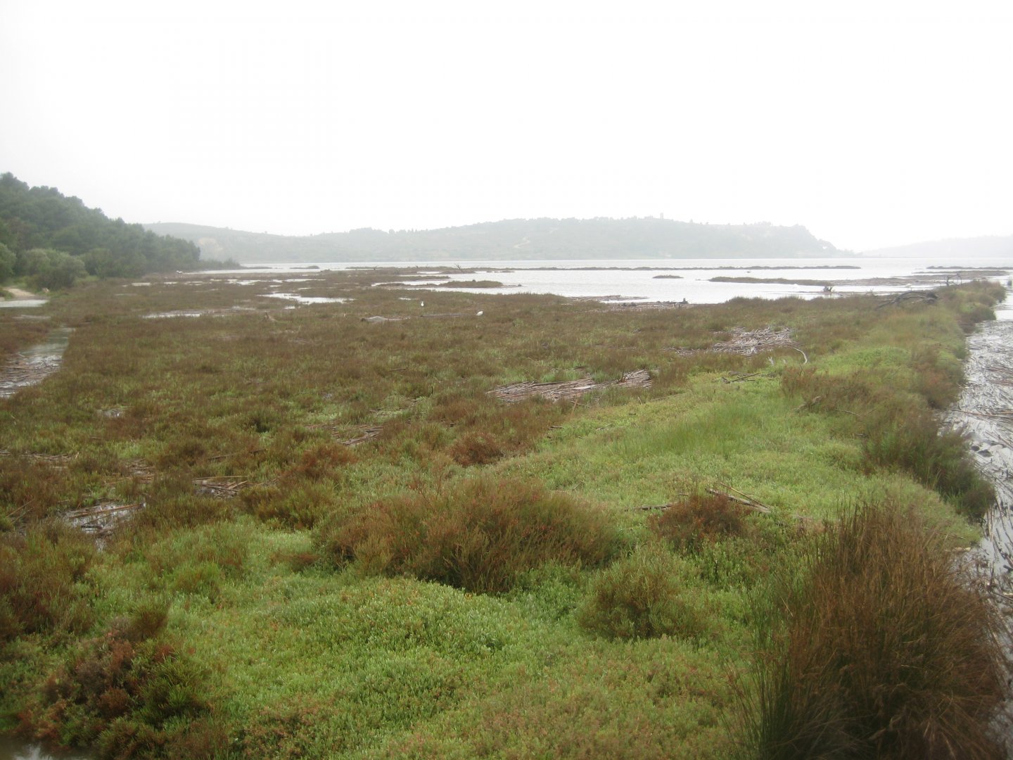 Reserve Africaine de Sigean - Nature reserve