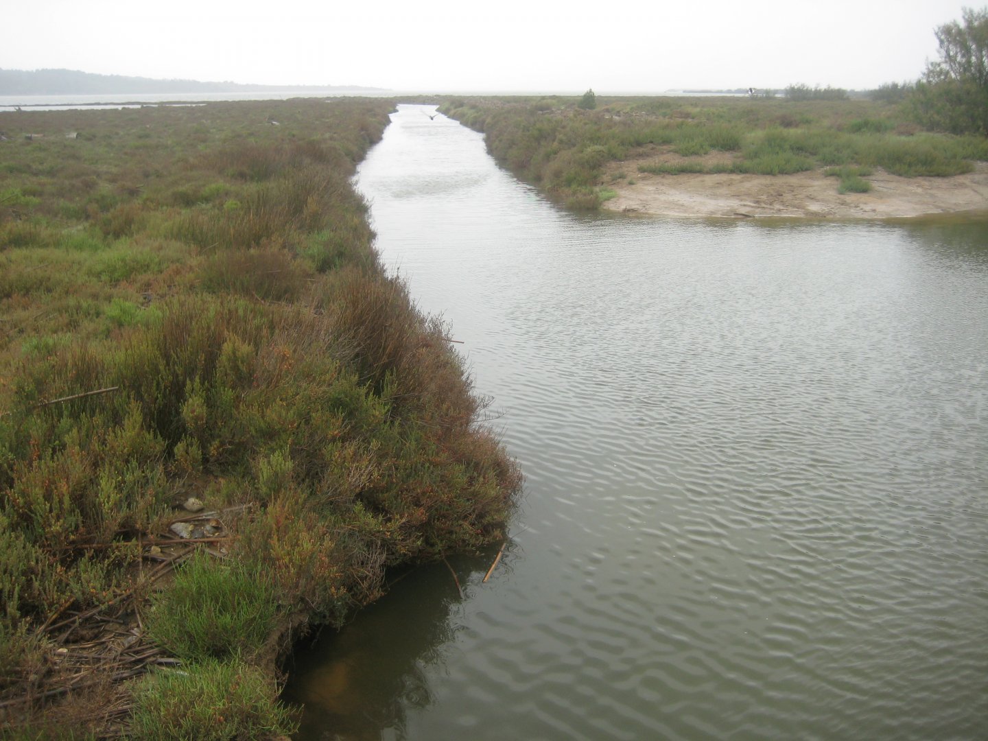 Reserve Africaine de Sigean - Nature reserve