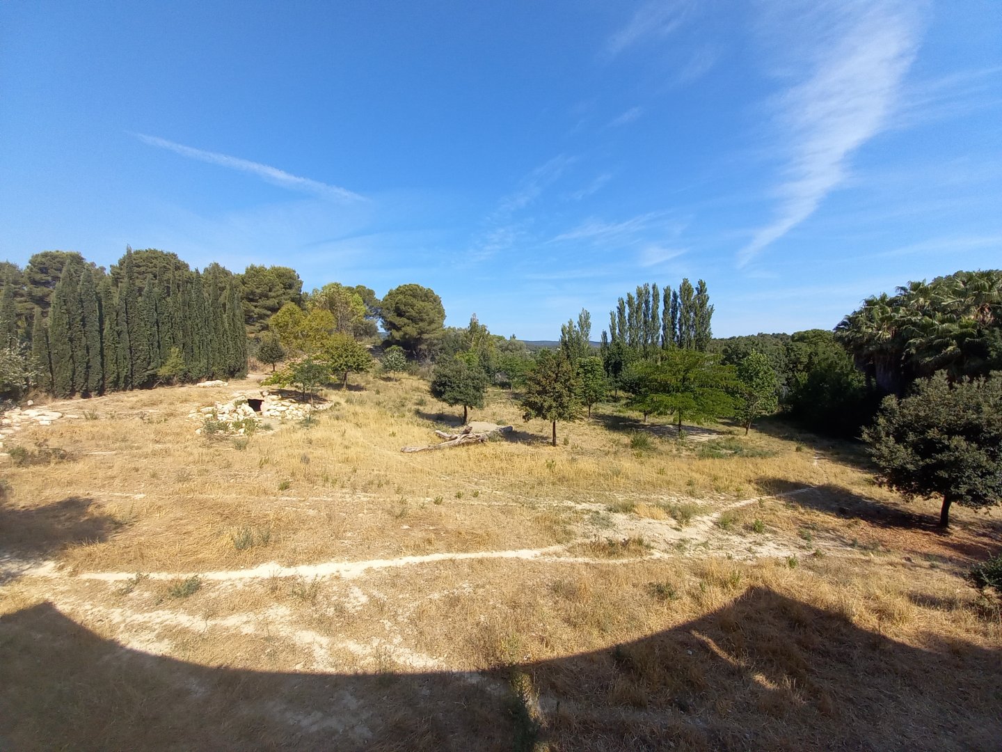 Réserve Africaine de Sigean - New carnivores territory - Cheetahs enclosure