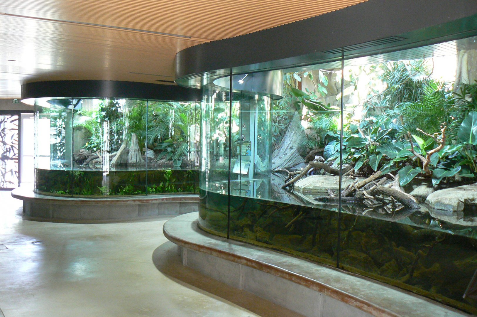 Réserve Africaine de Sigean - New reptile house - Dwarf crocodiles ahead and slender-snouted crocodiles behind