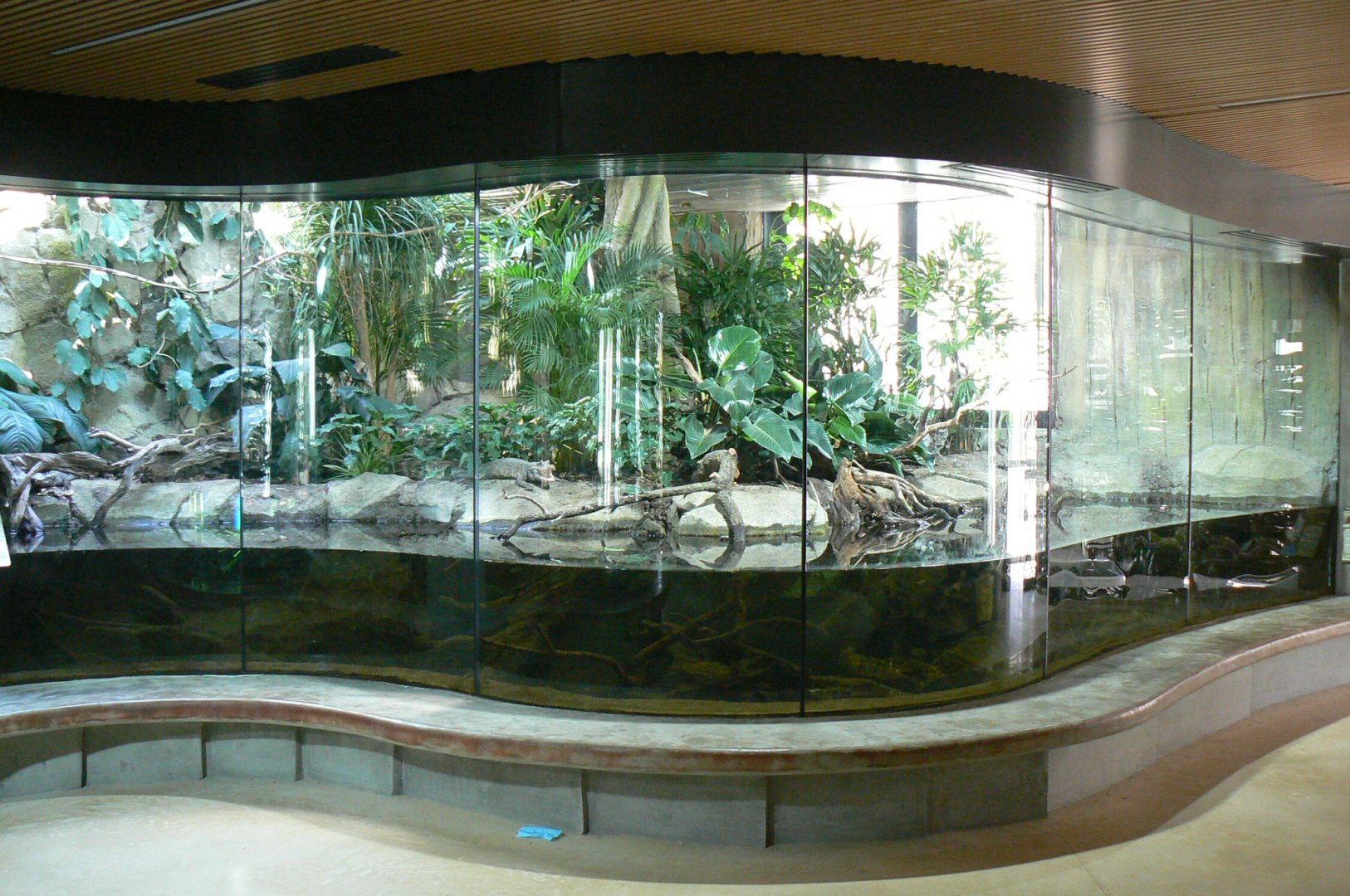 Réserve Africaine de Sigean - New reptile house - Dwarf crocodiles and helmeted turtles terrarium