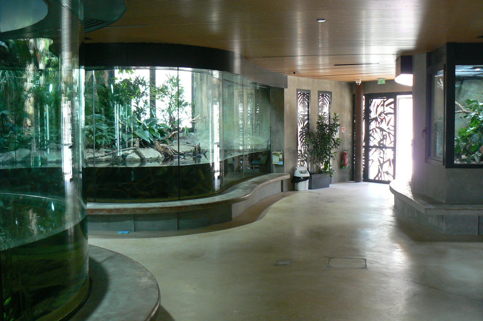 Réserve Africaine de Sigean - New reptile house - slender-snouted crocodiles ahead and dwarf crocodiles behind