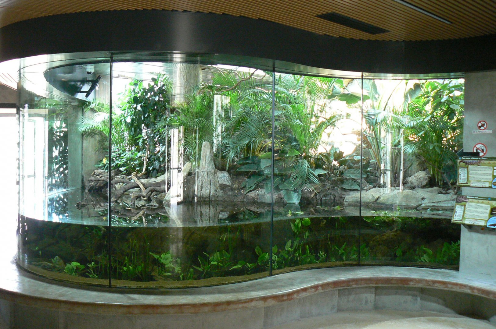 Réserve Africaine de Sigean - New reptile house - Slender-snouted crocodiles terrarium