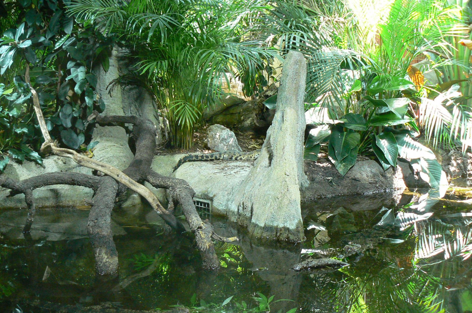 Réserve Africaine de Sigean - New reptile house - Slender-snouted crocodiles terrarium