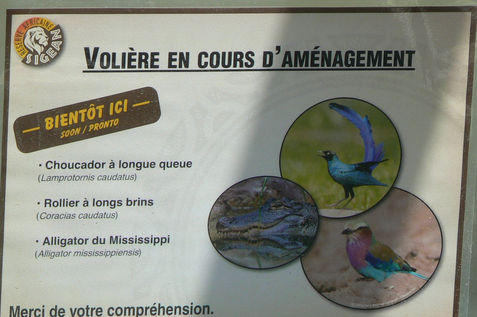 Réserve Africaine de Sigean - Pannel announcing future mixed aviary for birds and alligators