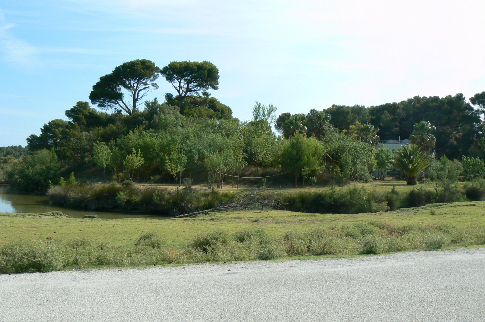 Réserve Africaine de Sigean - Safari drive through - Lar gibbons island