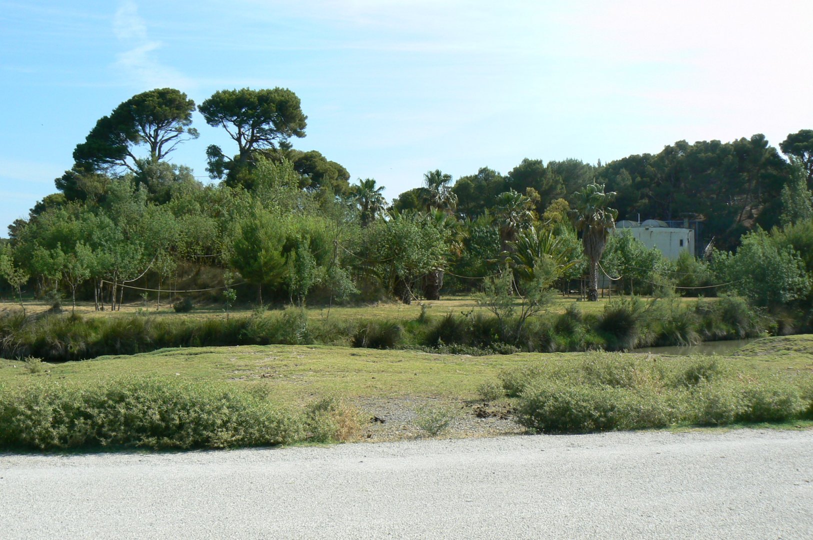 Réserve Africaine de Sigean - Safari drive through - Lar gibbons island