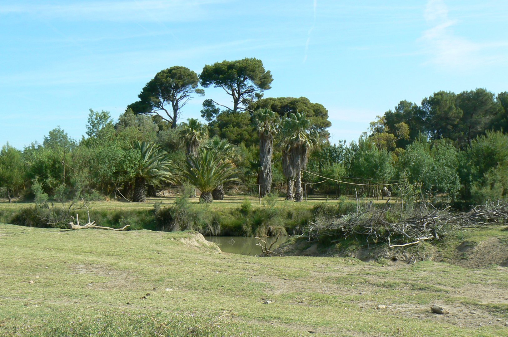 Réserve Africaine de Sigean - Safari drive through - Lar gibbons island