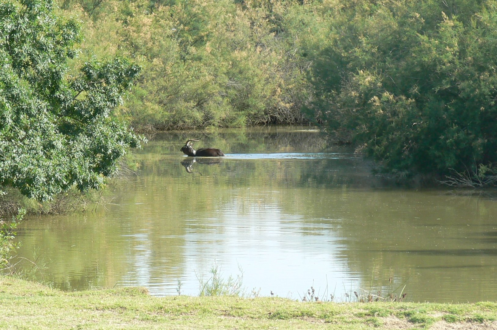 Réserve Africaine de Sigean - Safari drive through - Like in Africa