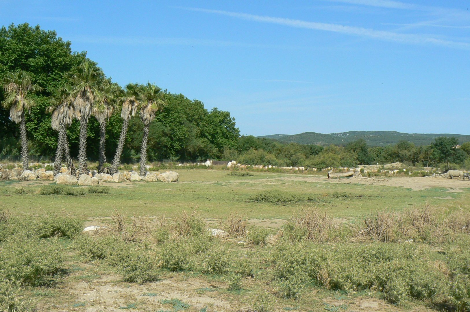 Réserve Africaine de Sigean - Safari drive through - Savannah