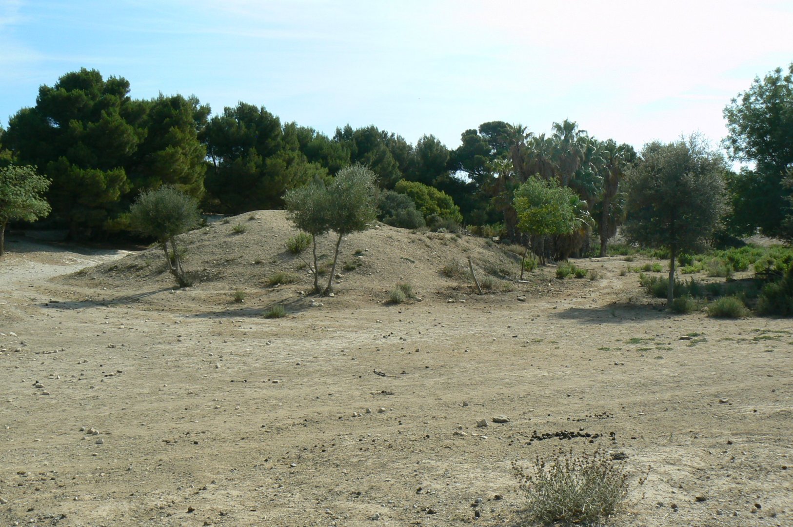Réserve Africaine de Sigean - Safari drive through - Savannah