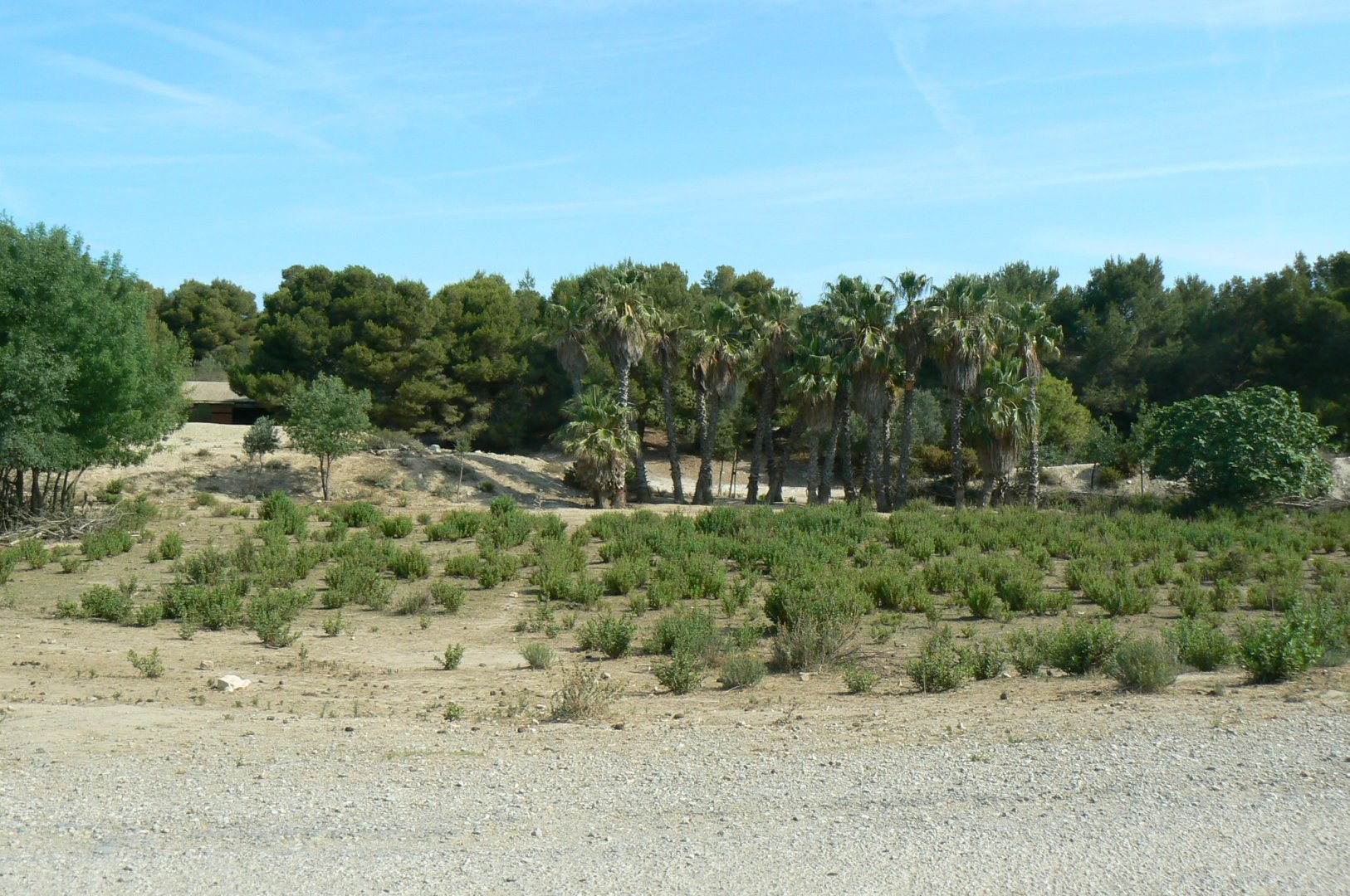 Réserve Africaine de Sigean - Safari drive through - Savannah