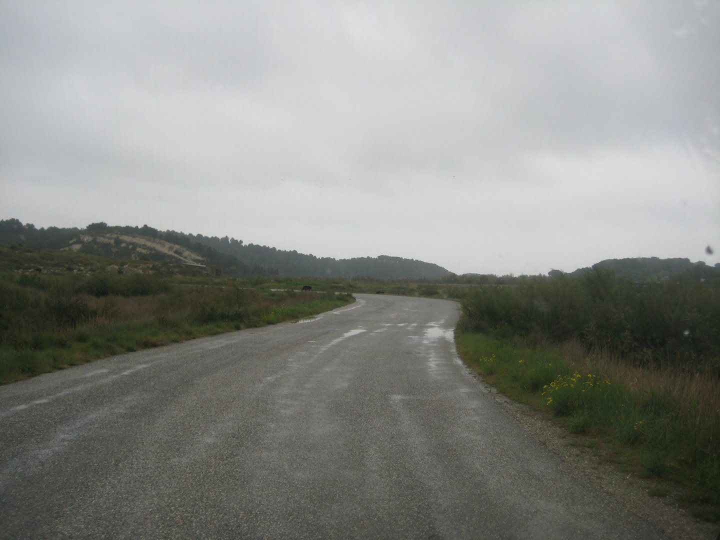 Reserve Africaine de Sigean - The bear park