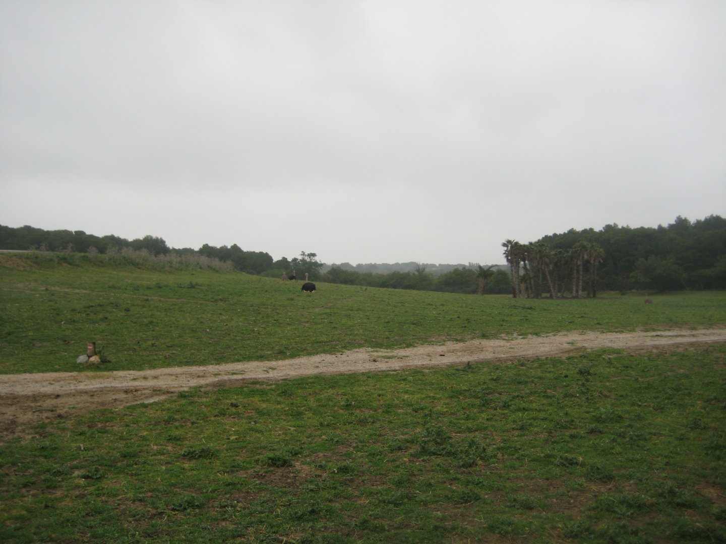 Reserve Africaine de Sigean - The bush (second park)